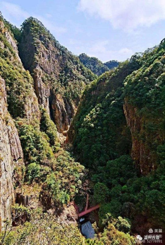 金毛出去打架带小弟，战况惨烈身负重伤，回家后被主人批评